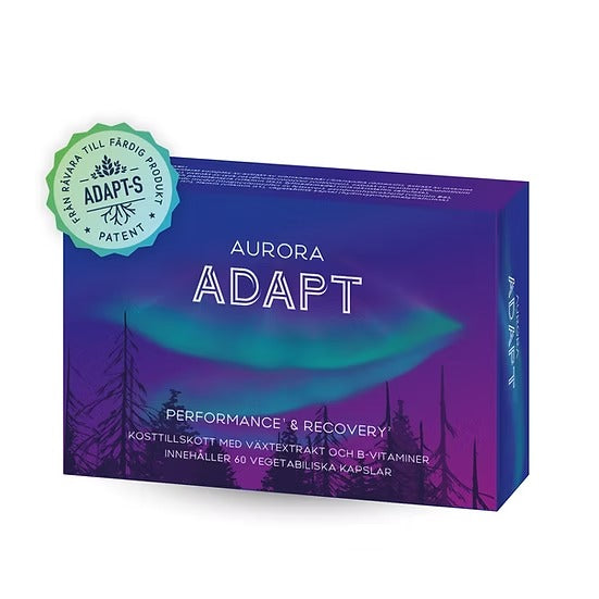 Aurora Adapt Performance & Recovery