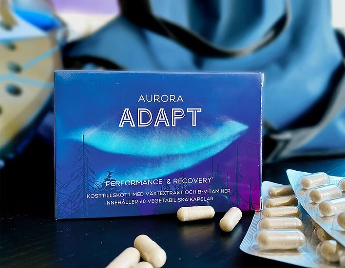 Aurora Adapt Performance & Recovery
